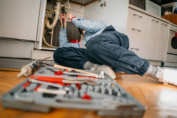 Best Sprinkler Systems  in Meadow Vista, CA
